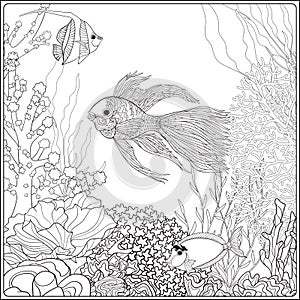 Coloring page with underwater world coral reef. Corals, fish and seaweeds.