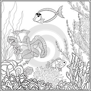 Coloring page with underwater world coral reef. Corals, fish and seaweeds.