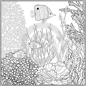 Coloring page with underwater world coral reef. Corals, fish and seaweeds.