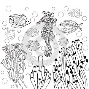 Coloring page with underwater world sea life, fishes,sea horse.