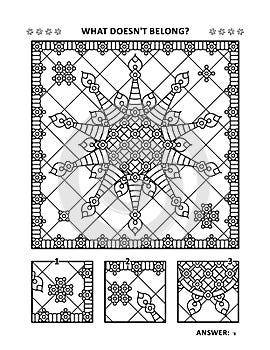 Coloring page and visual puzzle for adults