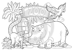 Coloring page - the zoo - illustration for the children photo