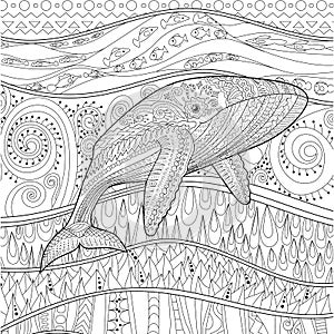 Coloring pages for adult with blue whale