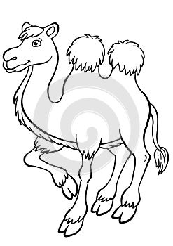 Coloring pages. Animals. Cute camel.