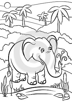 Coloring pages. Animals. Cute elephant. photo