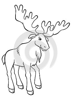 Coloring pages. Animals. Cute elk.