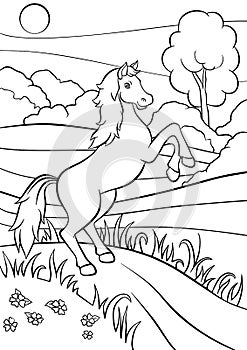 Coloring pages. Animals. Cute horse.