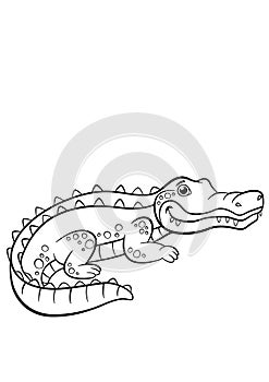 Coloring pages. Animals. Little cute alligator.