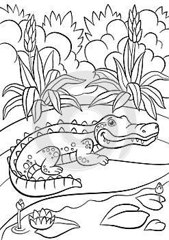 Coloring pages. Animals. Little cute alligator