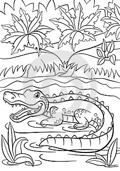 Coloring pages. Animals. Little cute alligator sits in the lake.