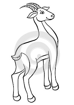 Coloring pages. Animals. Little cute antelope photo