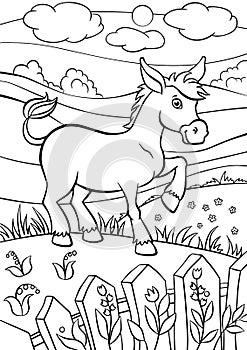 Coloring pages. Animals. Little cute donkey.