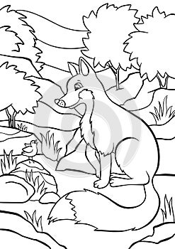 Coloring pages. Animals. Little cute fox. photo