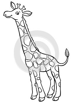 Coloring pages. Animals. Little cute giraffe. photo