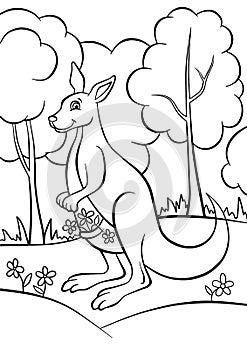 Coloring pages. Animals. Little cute kangaroo.