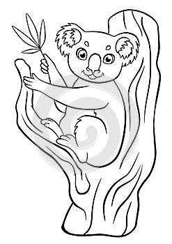 Coloring pages. Animals. Little cute koala. photo