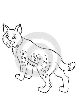 Coloring pages. Animals. Little cute lynx.