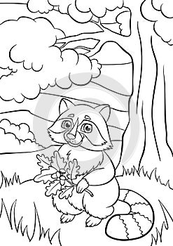 Coloring pages. Animals. Little cute raccoon.