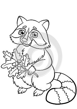 Coloring pages. Animals. Little cute raccoon. photo