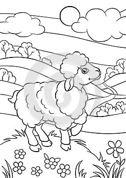 Coloring pages. Animals. Little cute sheep.