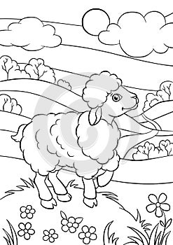 Coloring pages. Animals. Little cute sheep. photo