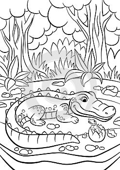 Coloring pages. Animals. Mother alligator