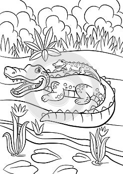 Coloring pages. Animals. Mother alligator