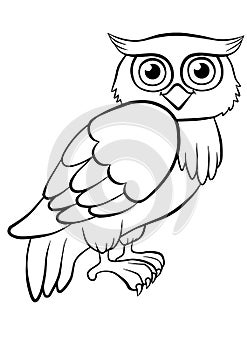 Coloring pages. Birds. Cute owl.