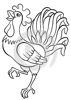 Coloring pages. Birds. Cute rooster.