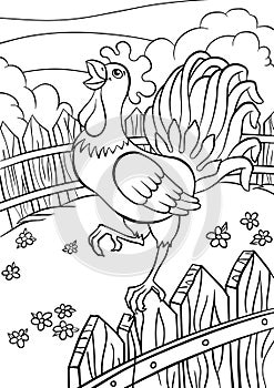 Coloring pages. Birds. Cute rooster. photo