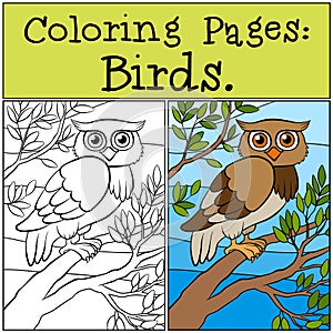 Coloring Pages: Birds. Little cute owl. photo