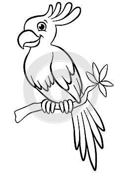 Coloring pages. Birds. Little cute parrot.