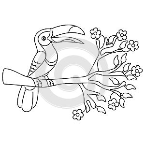 Coloring pages. Birds. Little cute toucan.