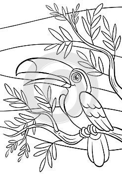 Coloring pages. Birds. Little cute toucan.