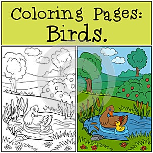 Coloring Pages: Birds. Mother duck swims with her little cute duckling.