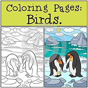 Coloring Pages: Birds. Two cute penguins look at the egg