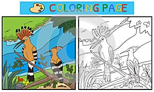 Coloring pages or books for children. cute hoopoe illustration