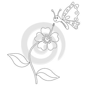 Coloring pages butterfly and flower