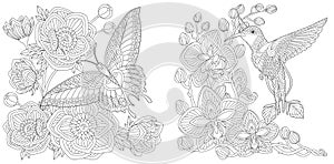 Coloring pages with butterfly and hummingbird