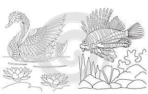 Coloring pages collection of swan and lion fish, simple line art for colouring book for anti stress.Vector illustration
