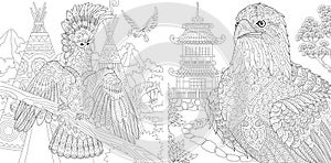 Coloring Pages. Coloring Book for adults. Colouring pictures with cockatoo and eagle. Antistress freehand sketch drawing with