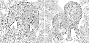 Coloring Pages. Coloring Book for adults. Colouring pictures with panther and lion. Antistress freehand sketch drawing with doodle