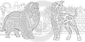 Coloring Pages. Coloring Book for adults. Colouring pictures with Rough Collie and Dalmatian dogs. Antistress freehand sketch