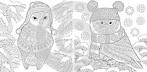 Coloring pages with cute winter owls