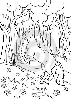 Coloring pages. Farm animals. Beautiful horse.