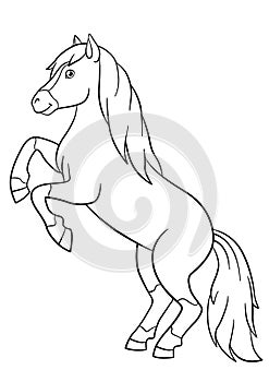 Coloring pages. Farm animals. Beautiful horse.