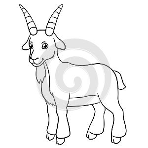 Coloring pages. Farm animals. Cute billy goat smiles. photo