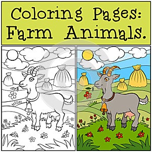 Coloring Pages: Farm Animals. Cute goat.