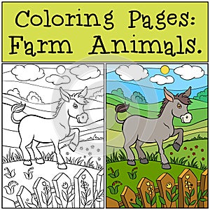 Coloring Pages: Farm Animals. Little cute donkey.