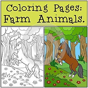 Coloring Pages: Farm Animals. Little cute foal.